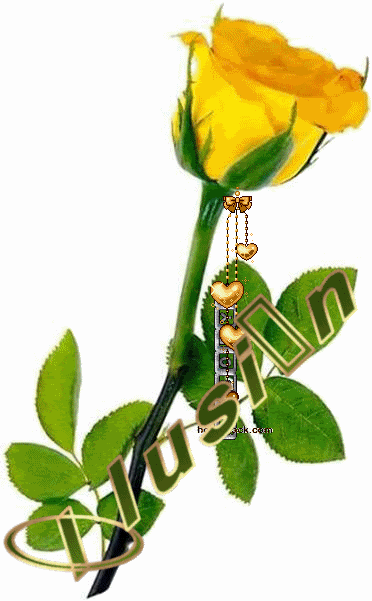 ILUSION Pictures, Images and Photos