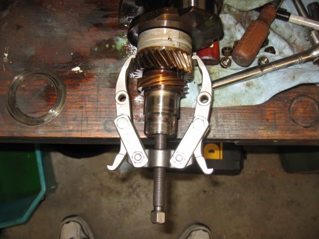 Image may have been reduced in size. Click image to view fullscreen.