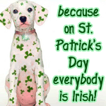 Irish Avatar St.Patrick 2