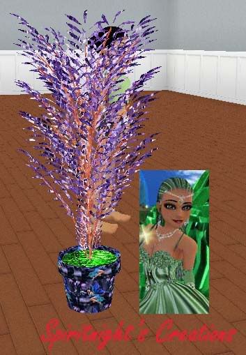 Unique Lilac Tree