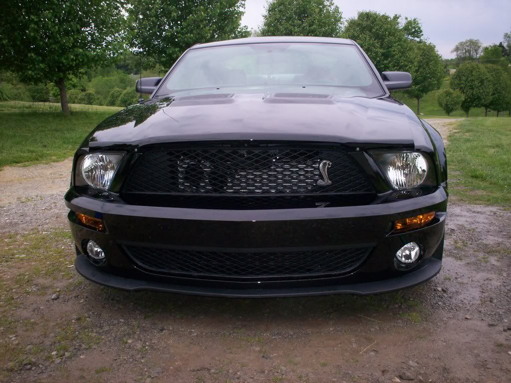 MustangGT500009.jpg