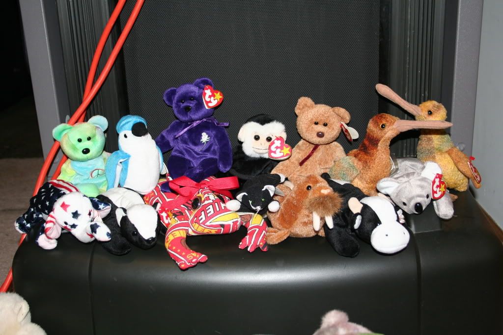 lots of beanie babies Pictures, Images and Photos