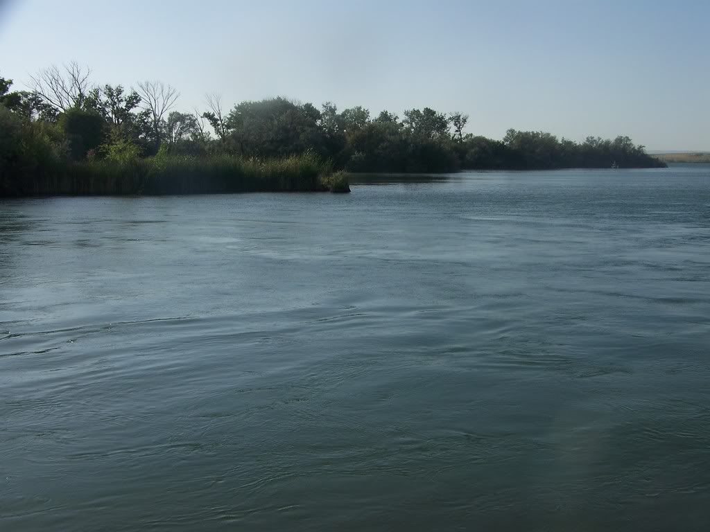Lake NM 6/10/08(late report)(pics) Colorado Fisherman Forum