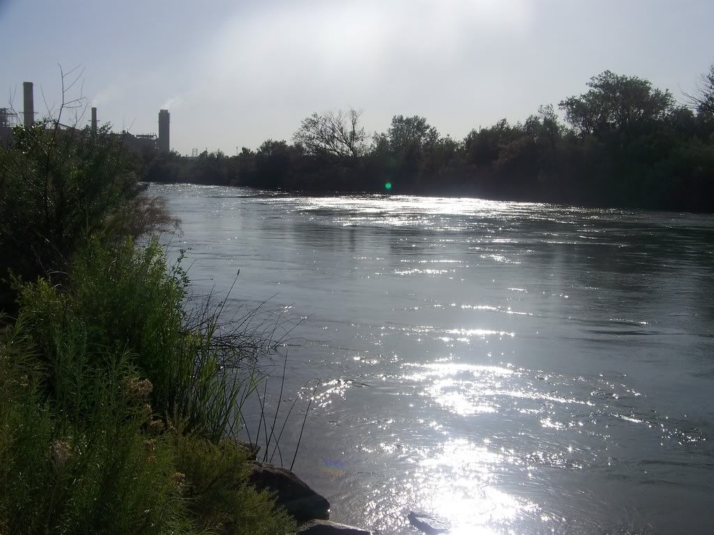 Lake NM 6/10/08(late report)(pics) Colorado Fisherman Forum