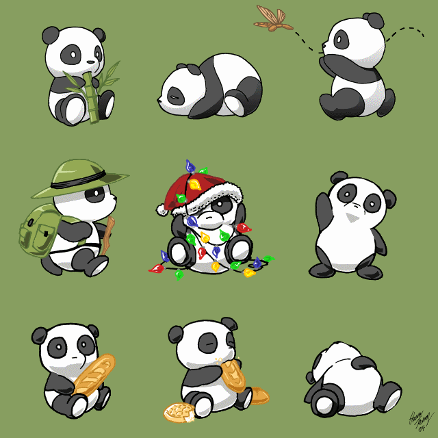 p panda