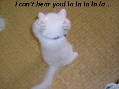 can't hear you photo: cant hear ya canthearyou.jpg