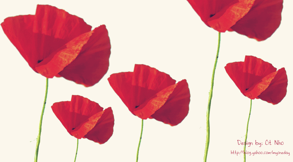 banner banner