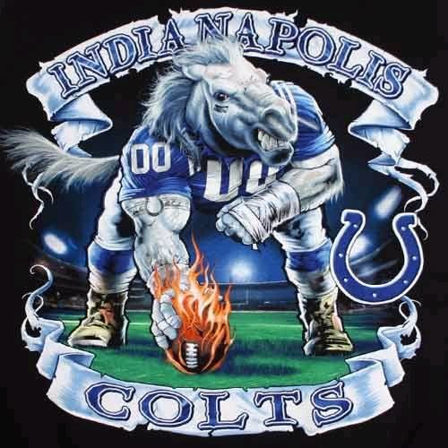 Go COLTS! picture by BeatriceBaker - Photobucket