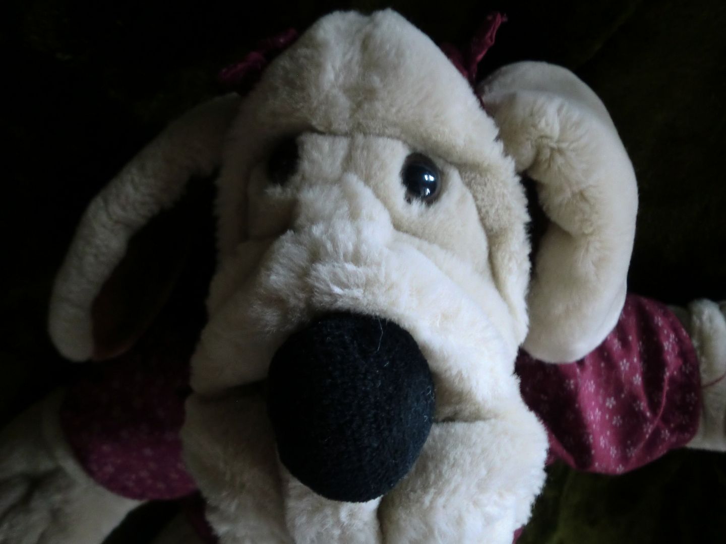wrinkles stuffed dog for sale