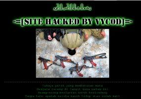 Hacker Indonesia menghancurkan situs Israel