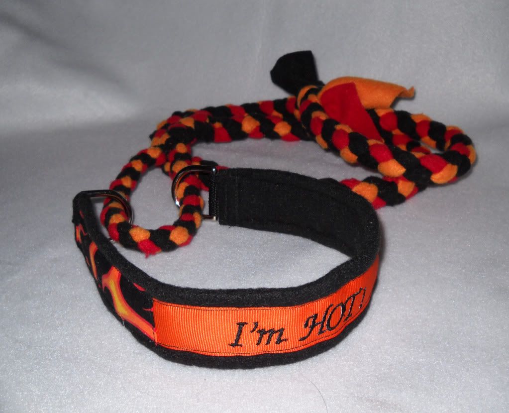 Collar Leash