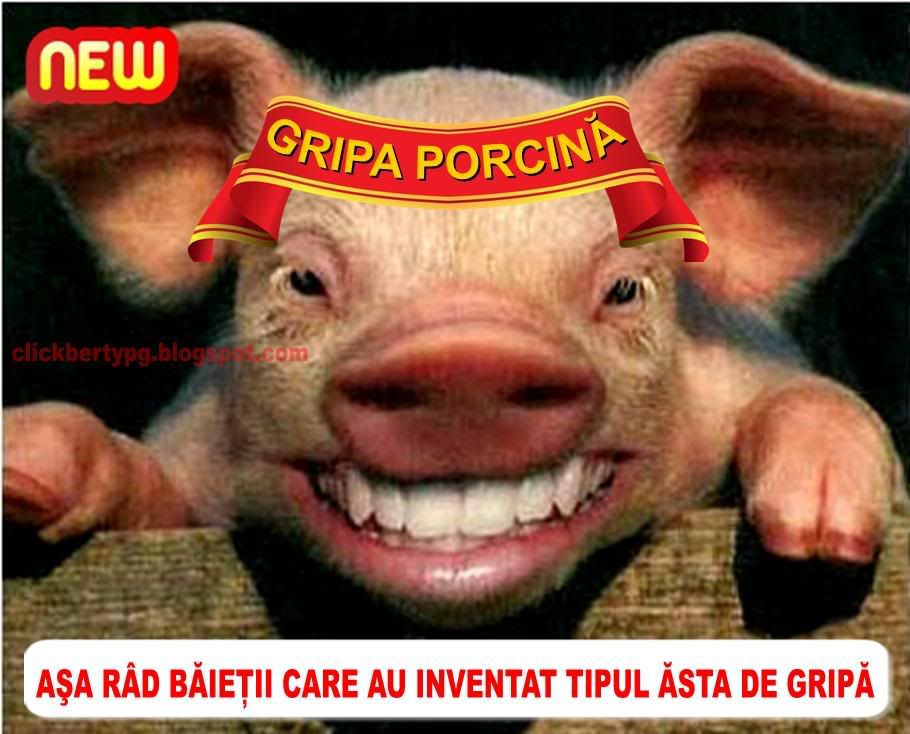 porcina
