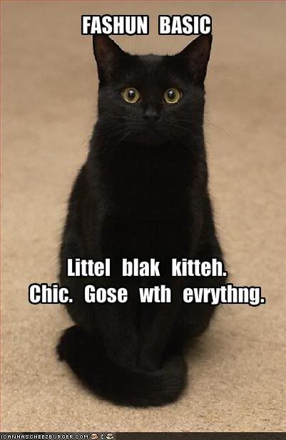 black cat fashion accessory Pictures, Images and Photos