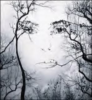 ghost woman in trees Pictures, Images and Photos