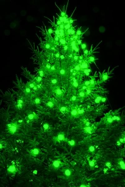90_15_57---Christmas-Tree_web.jpg
