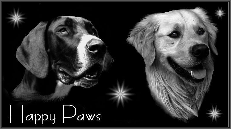 bannerhappypaws1.jpg~original