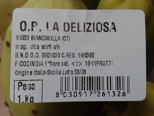 Toon onderwerp Cactusvijg zaaien