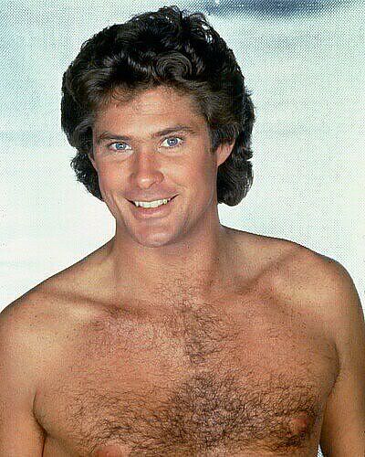 hasselhoff-david-photo-xl-david-has.jpg