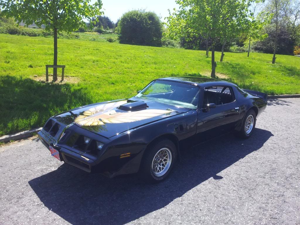 20130521_140323_zps236f5673.jpg