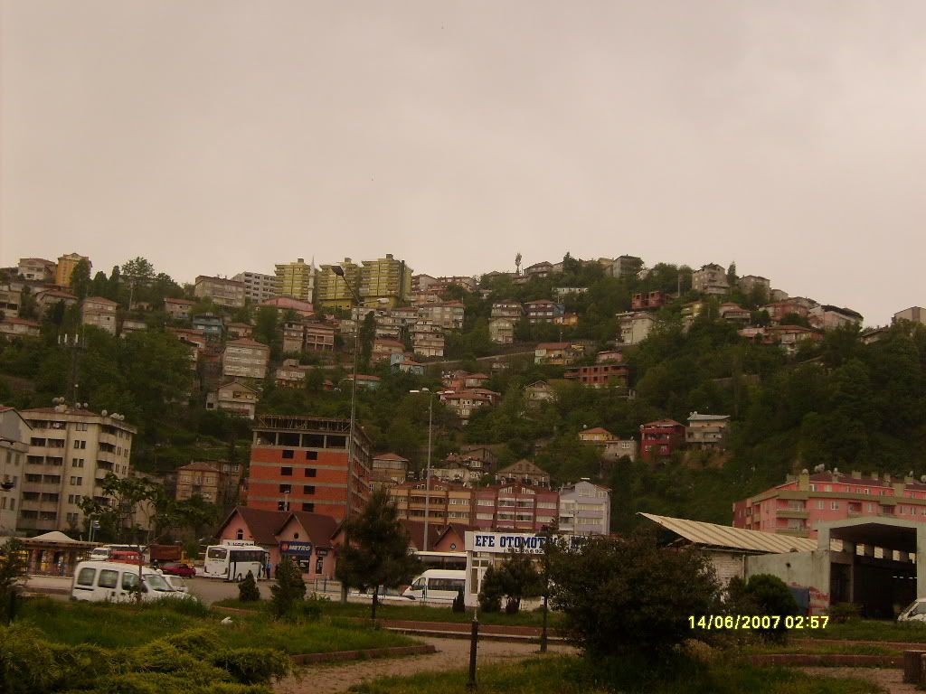 S6300835.jpg