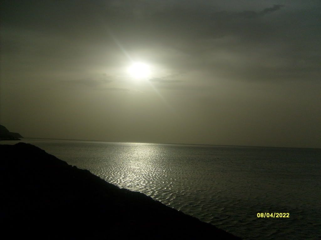S6300862.jpg
