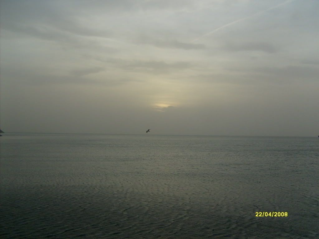 S6300870.jpg