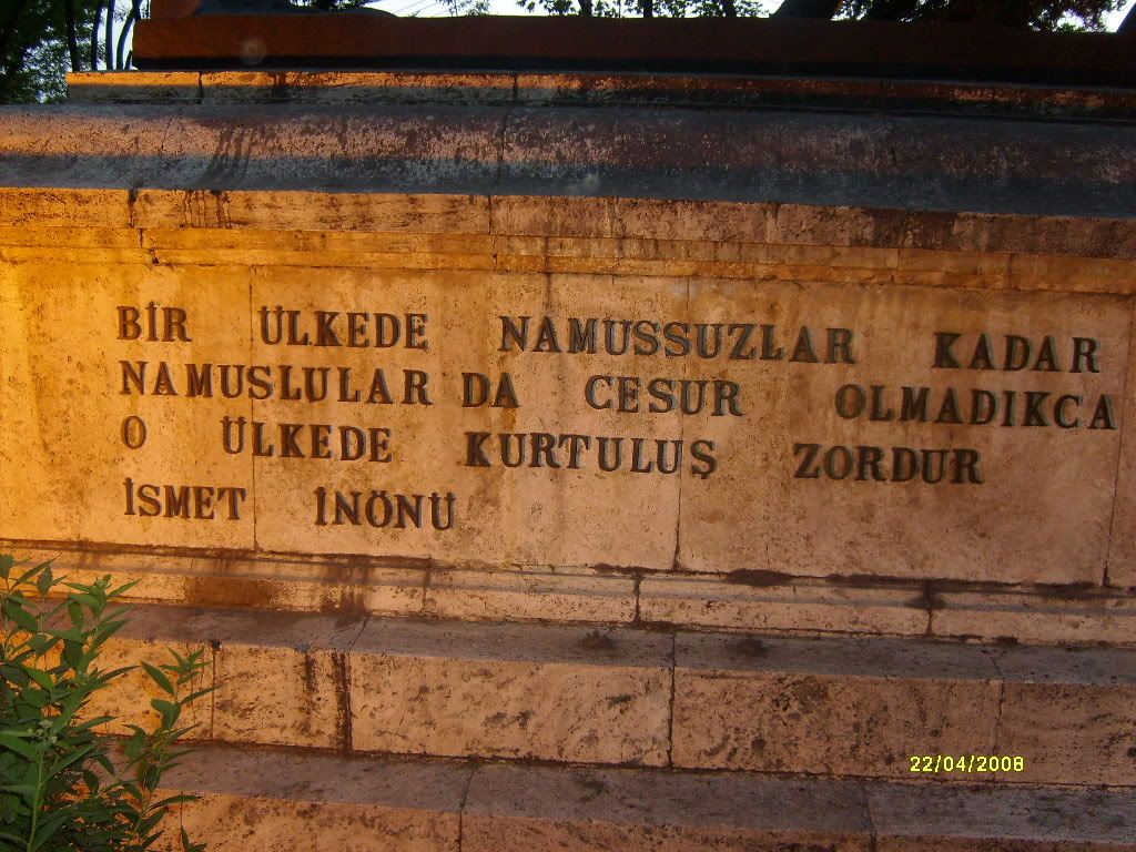 S6300875.jpg