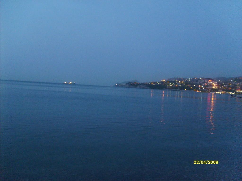 S6300877.jpg