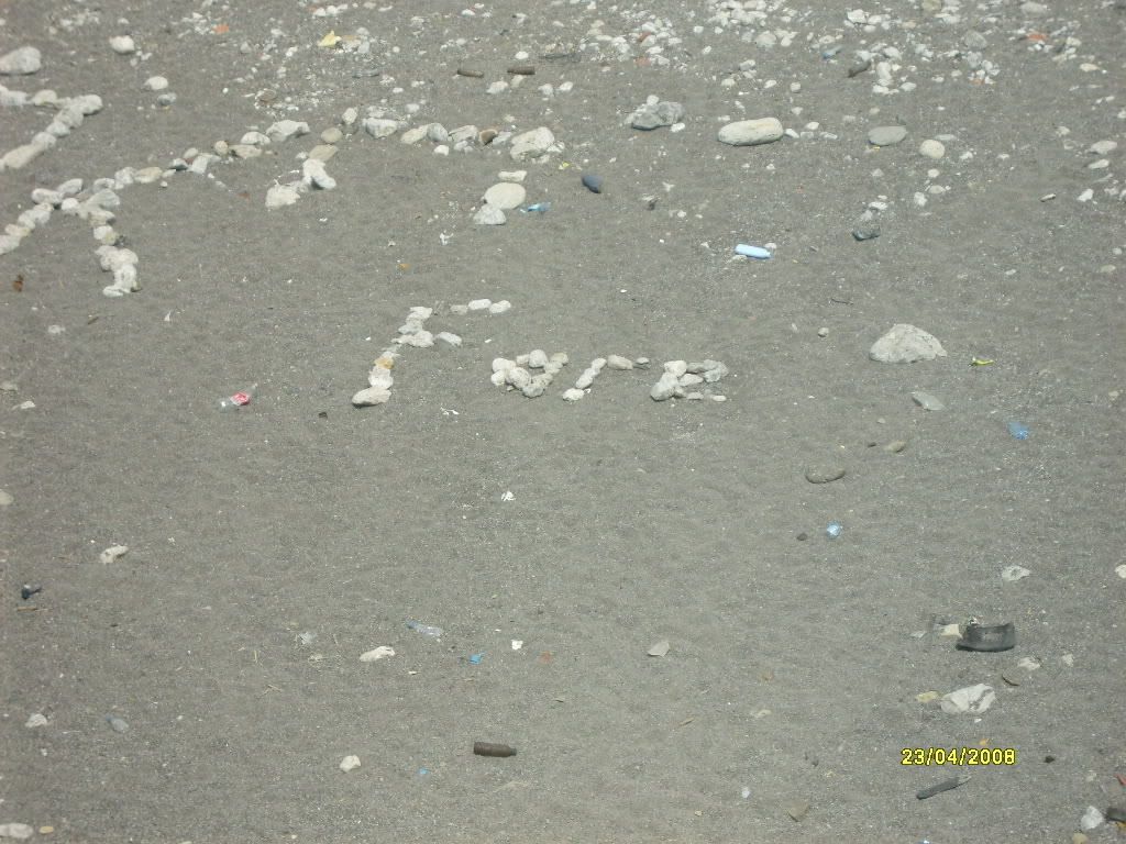 S6300914.jpg