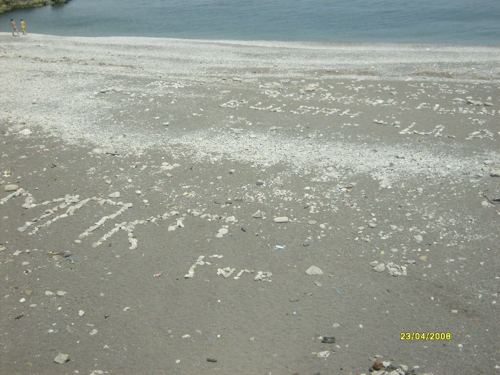 S6300915.jpg