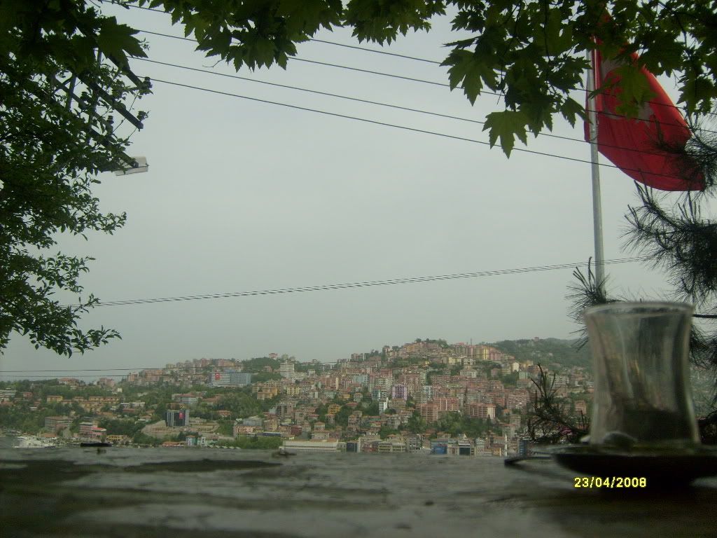 S6300919.jpg