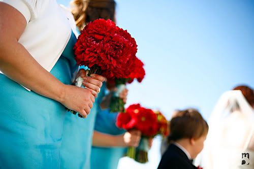 Bridesmaids with Red Flowers Pictures, Images and Photos