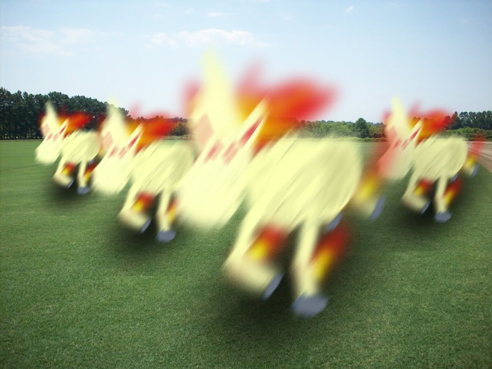 Rapidash.jpg