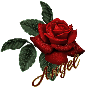 rose red and angel