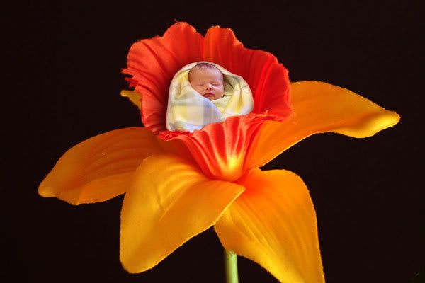 Lucas-in-Flower.jpg