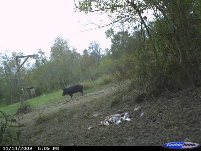CDY_0003-1.jpg