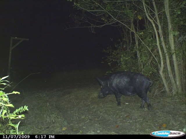 CDY_0010.jpg