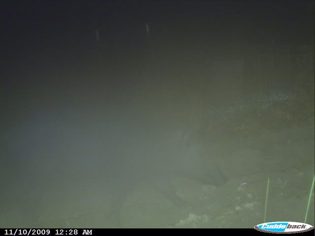 CDY_0035.jpg