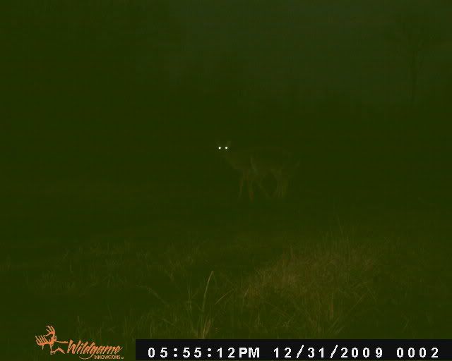 Pasture002.jpg