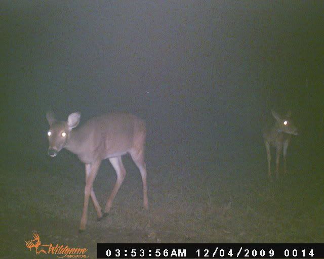 Pasture014.jpg
