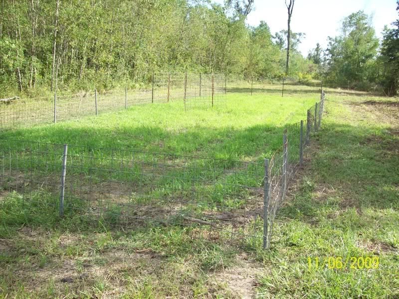 Picture001.jpg