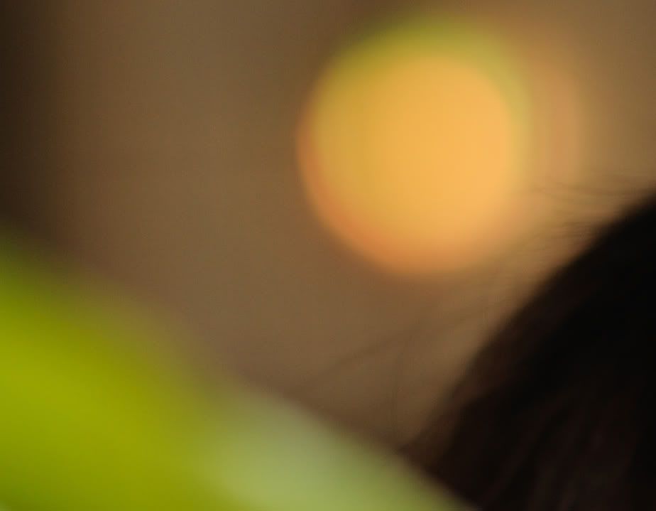 p85bcrop.jpg