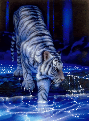 http://i306.photobucket.com/albums/nn263/motorpurrr/Gifs%20Rock/Tiger.gif