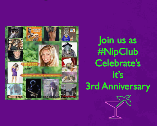 3rd aniversary photo nipclub3rdhistorygif_zps623737d2.gif