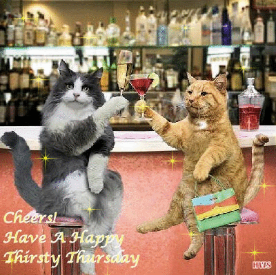Image result for nipclub party