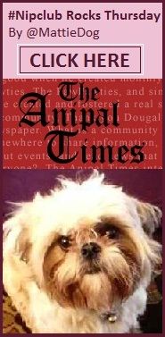 mattiedog anipal times
