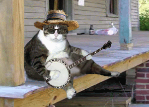 photo CATBANJO_zpsc0e1ee7e.gif