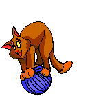 photo cat38_zps9411bc08.gif
