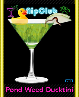 swamp drink duck