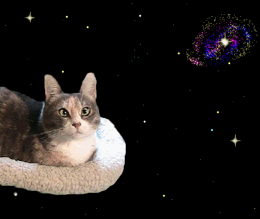 Space cat photo: space monorail cat glitter gif spacemonorailkittencat.gif